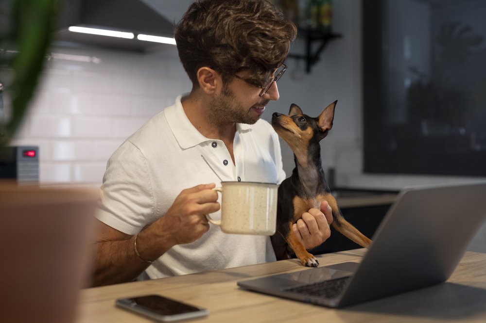 Pessoa trabalhando em home office com seu pet no colo